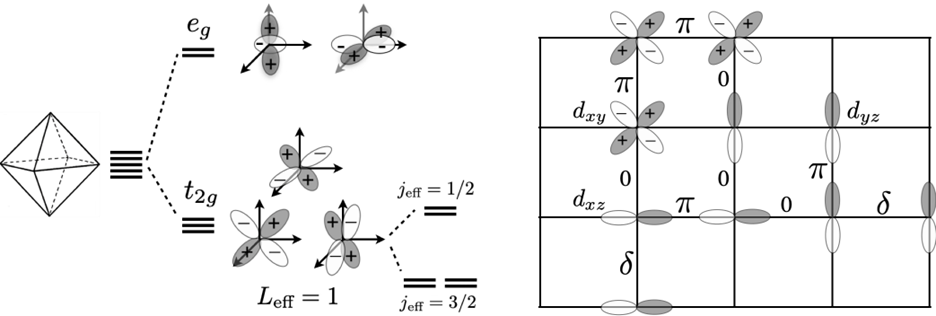 Picture1.png